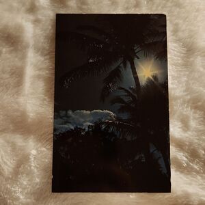 Hawaiian Cocopalms in the Moonlite Sky Vintage Postcard
